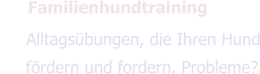   Familienhundtraining Alltagsübungen, die Ihren Hund fördern und fordern. Probleme?